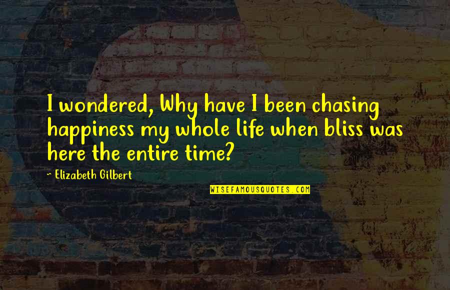 Chasing Your Happiness Quotes By Elizabeth Gilbert: I wondered, Why have I been chasing happiness