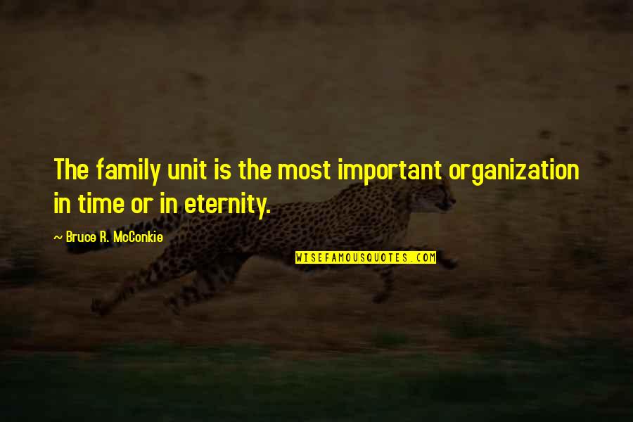 Chasm City Quotes By Bruce R. McConkie: The family unit is the most important organization