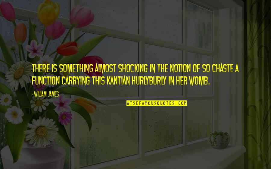 Chaste Quotes By William James: There is something almost shocking in the notion Chaste Quotes By William James: There is something almost shocking in the notion