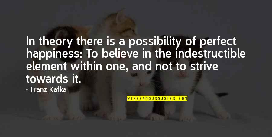 Chateauneuf Quotes By Franz Kafka: In theory there is a possibility of perfect