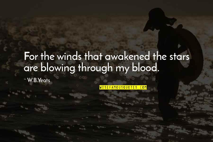 Chateei Quotes By W.B.Yeats: For the winds that awakened the stars are