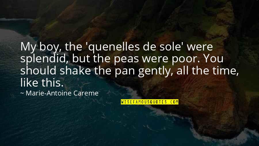 Chateu Quotes By Marie-Antoine Careme: My boy, the 'quenelles de sole' were splendid,