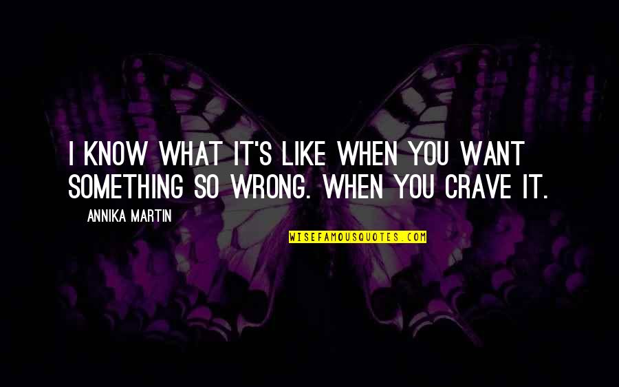 Chattopadhyaya Quotes By Annika Martin: I know what it's like when you want