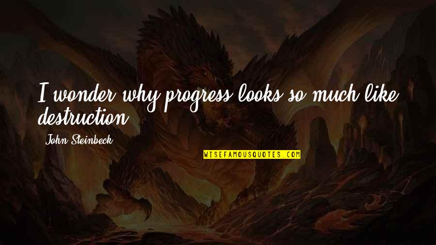 Chatwal Sant Quotes By John Steinbeck: I wonder why progress looks so much like Chatwal Sant Quotes By John Steinbeck: I wonder why progress looks so much like