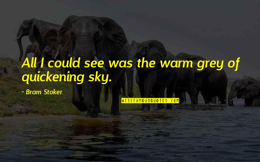 Chauvier Quotes By Bram Stoker: All I could see was the warm grey Chauvier Quotes By Bram Stoker: All I could see was the warm grey