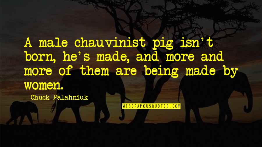 Chauvinist Pig Quotes By Chuck Palahniuk: A male chauvinist pig isn't born, he's made,