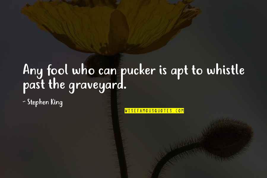 Chavanne Mcdonald Quotes By Stephen King: Any fool who can pucker is apt to