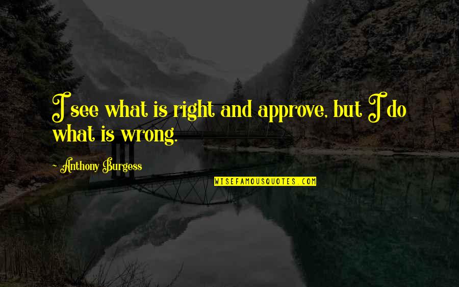 Chay Quotes By Anthony Burgess: I see what is right and approve, but