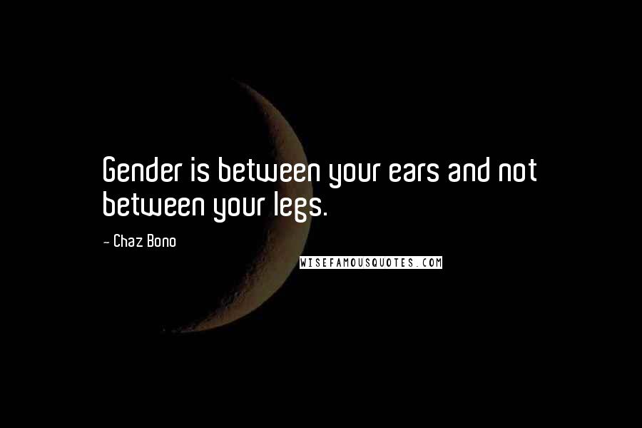 Chaz Bono quotes: Gender is between your ears and not between your legs.