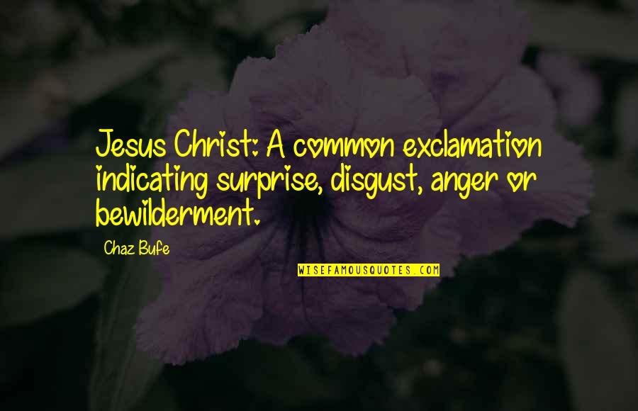 Chaz Quotes By Chaz Bufe: Jesus Christ: A common exclamation indicating surprise, disgust,