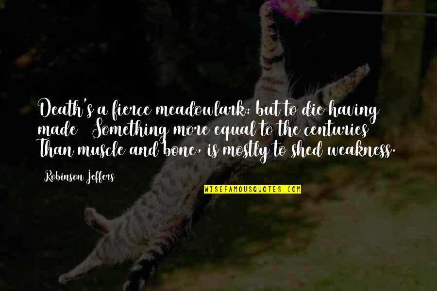 Chazz Michaels Michaels Quotes By Robinson Jeffers: Death's a fierce meadowlark: but to die having