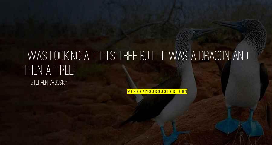 Chbosky Stephen Quotes By Stephen Chbosky: I was looking at this tree but it Chbosky Stephen Quotes By Stephen Chbosky: I was looking at this tree but it