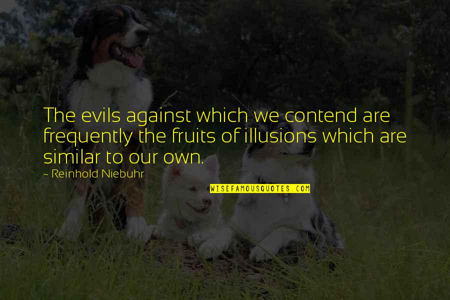 Che Ahn Quotes By Reinhold Niebuhr: The evils against which we contend are frequently