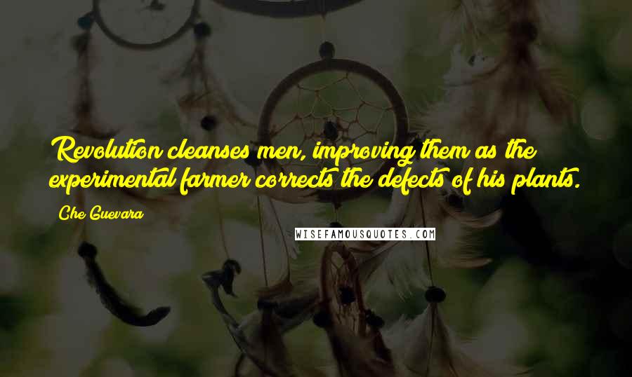 Che Guevara quotes: Revolution cleanses men, improving them as the experimental farmer corrects the defects of his plants.