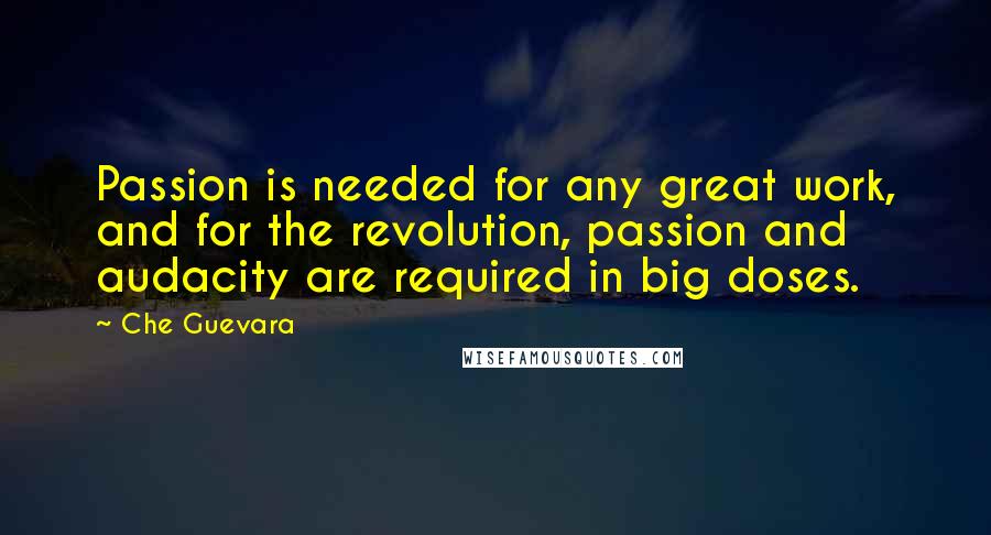 Che Guevara quotes: Passion is needed for any great work, and for the revolution, passion and audacity are required in big doses.