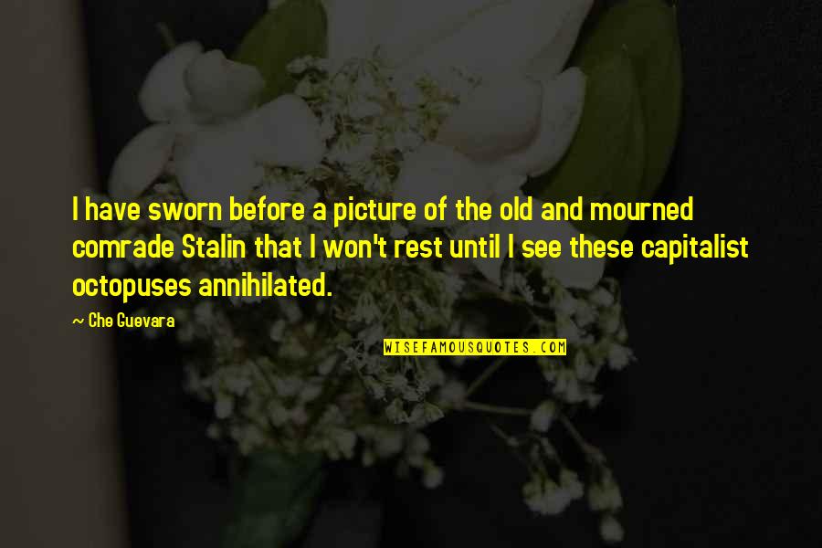 Che Quotes By Che Guevara: I have sworn before a picture of the