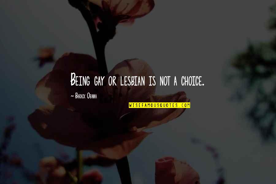Cheap Solicitors Quotes By Barack Obama: Being gay or lesbian is not a choice.