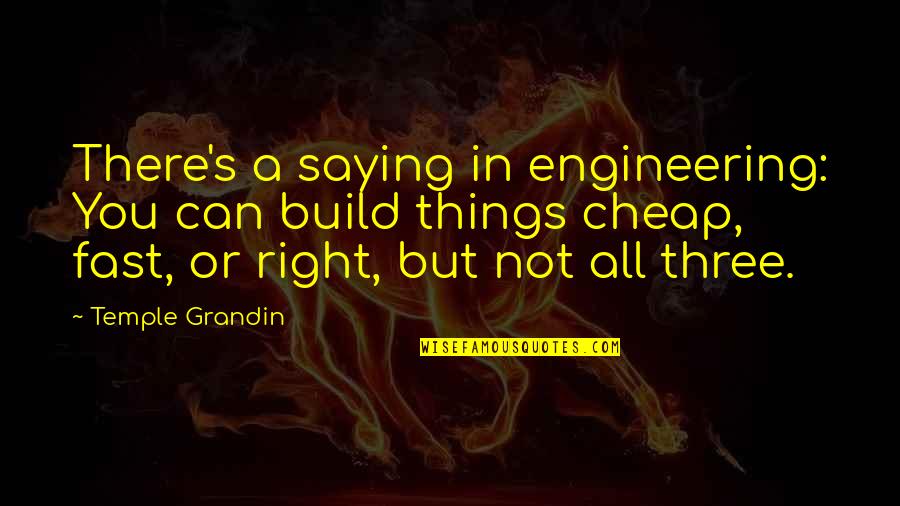 Cheap Things Quotes By Temple Grandin: There's a saying in engineering: You can build