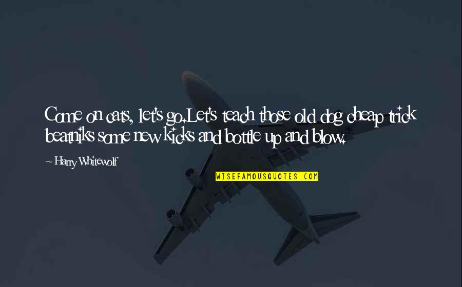 Cheap Trick Quotes By Harry Whitewolf: Come on cats, let's go.Let's teach those old