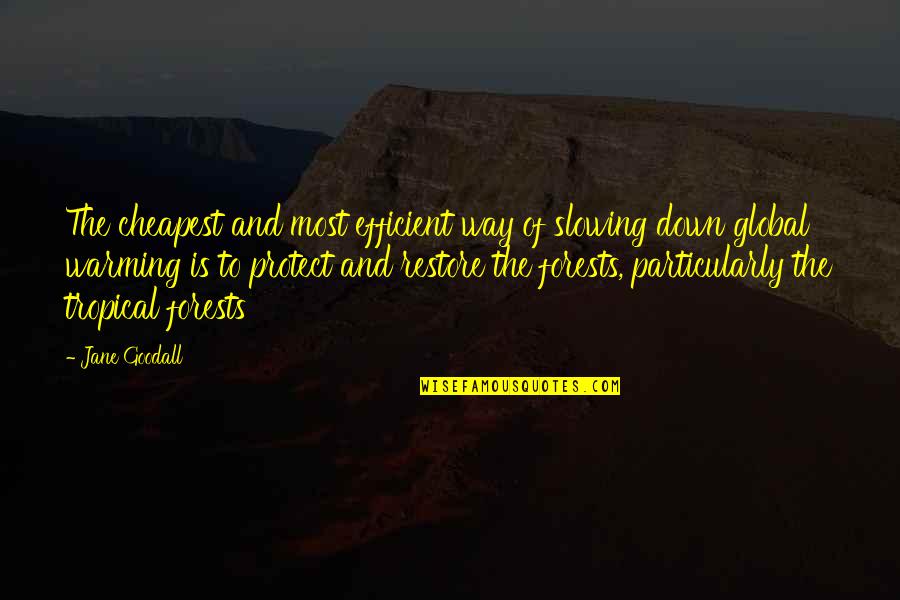 Cheapest Quotes By Jane Goodall: The cheapest and most efficient way of slowing Cheapest Quotes By Jane Goodall: The cheapest and most efficient way of slowing