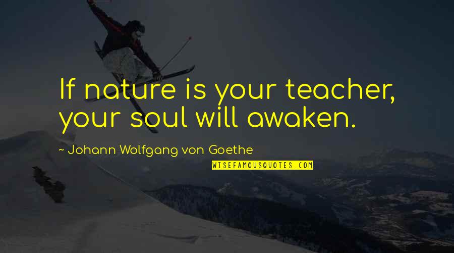 Cheating Wife Funny Quotes By Johann Wolfgang Von Goethe: If nature is your teacher, your soul will