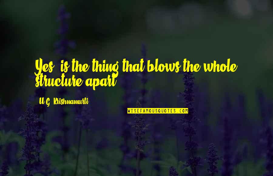 Check It Out With Dr Steve Brule Quotes By U.G. Krishnamurti: Yes! is the thing that blows the whole Check It Out With Dr Steve Brule Quotes By U.G. Krishnamurti: Yes! is the thing that blows the whole