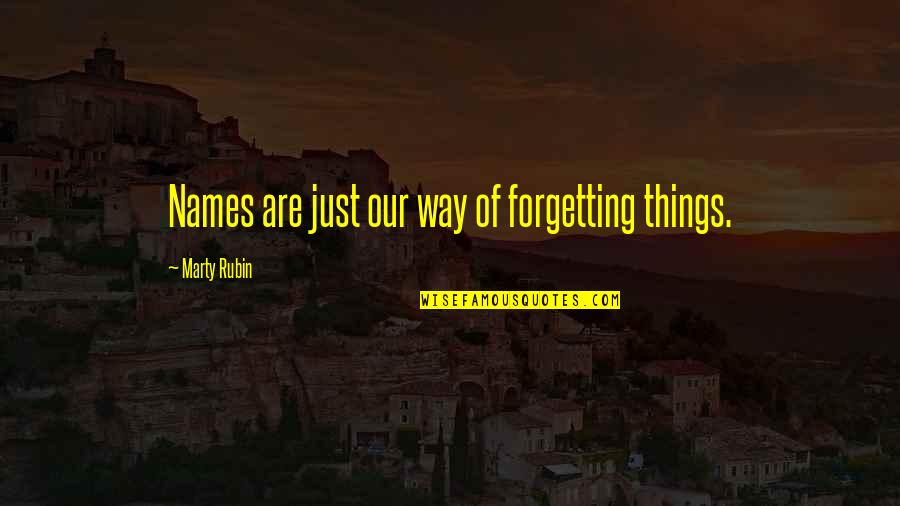 Cheeky Clever Quotes By Marty Rubin: Names are just our way of forgetting things.