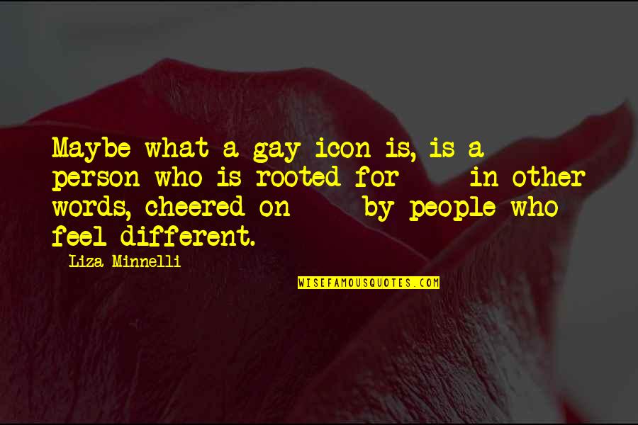 Cheered Quotes By Liza Minnelli: Maybe what a gay icon is, is a