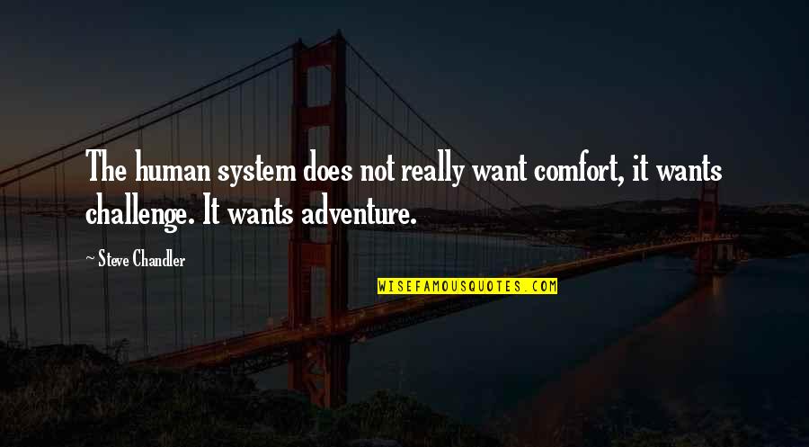 Cheerily Synonym Quotes By Steve Chandler: The human system does not really want comfort, Cheerily Synonym Quotes By Steve Chandler: The human system does not really want comfort,