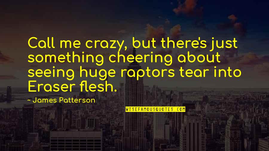 Cheering For You Quotes By James Patterson: Call me crazy, but there's just something cheering