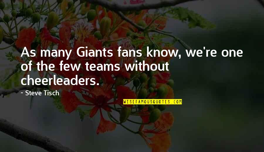 Cheerleaders Quotes By Steve Tisch: As many Giants fans know, we're one of