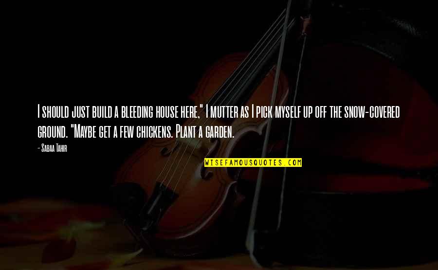 Cheery Good Morning Quotes By Sabaa Tahir: I should just build a bleeding house here,"