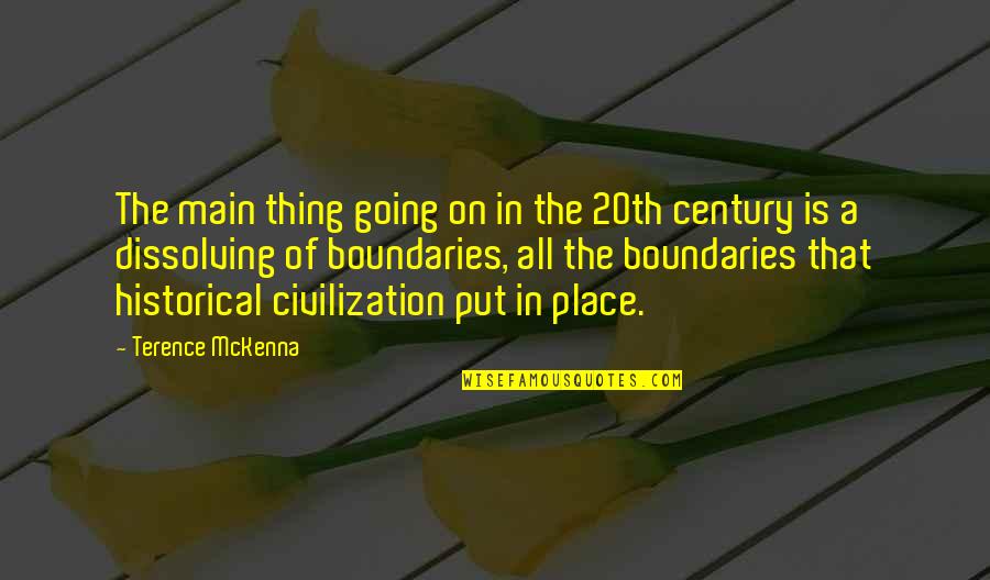 Cheese Platter Quotes By Terence McKenna: The main thing going on in the 20th