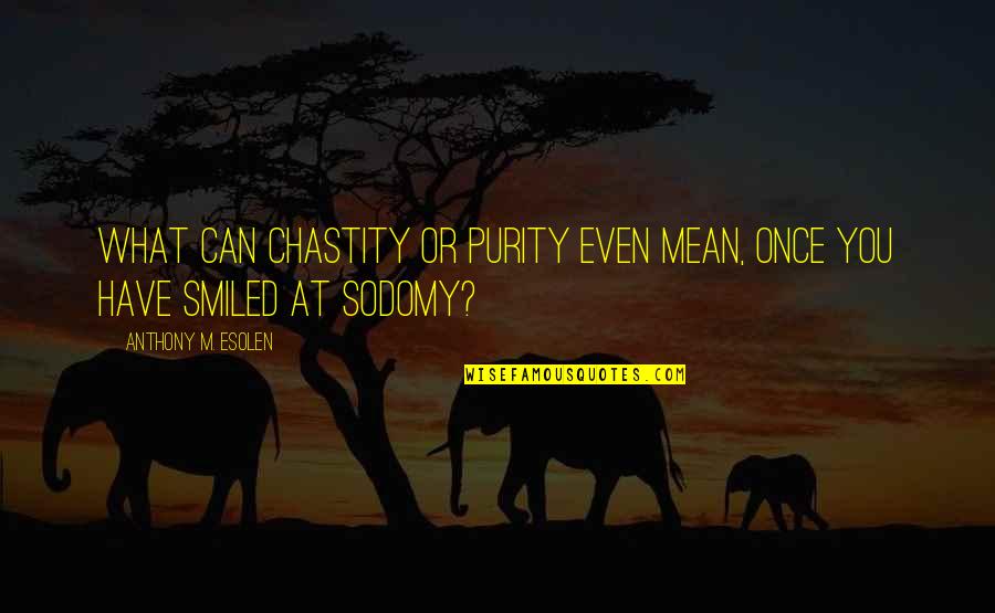 Cheeseburgers In The Oven Quotes By Anthony M. Esolen: What can chastity or purity even mean, once