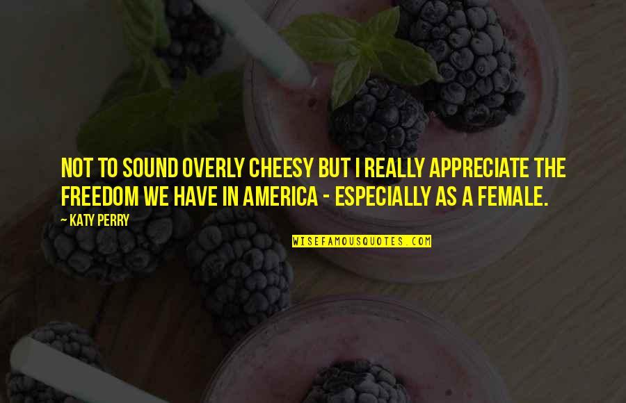 Cheesy Quotes By Katy Perry: Not to sound overly cheesy but I really