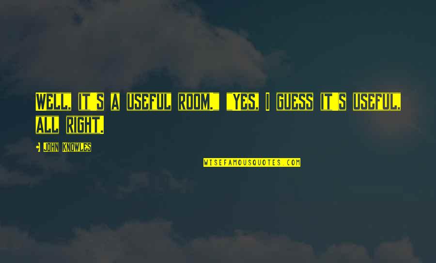 Cheetos Cheetah Quotes By John Knowles: Well, it's a useful room." "Yes, I guess