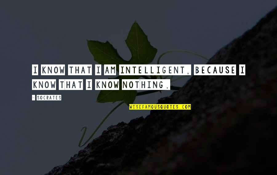 Cheetos Cheetah Quotes By Socrates: I know that I am intelligent, because I