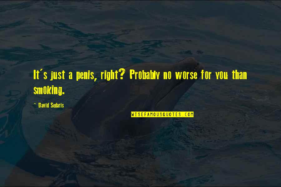 Cheever Tire Quotes By David Sedaris: It's just a penis, right? Probably no worse