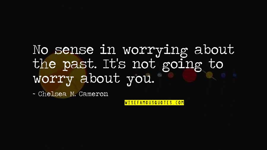 Chegar A Casa Quotes By Chelsea M. Cameron: No sense in worrying about the past. It's