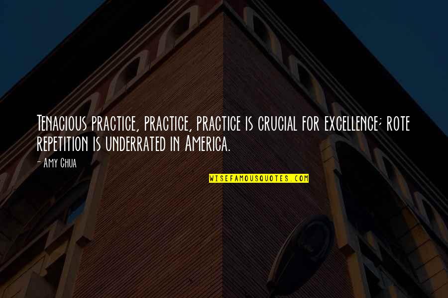Chegarasiz Quotes By Amy Chua: Tenacious practice, practice, practice is crucial for excellence;