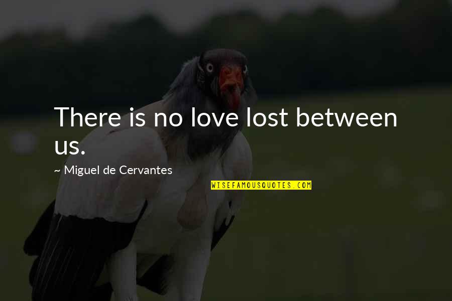 Chehalis Wa Quotes By Miguel De Cervantes: There is no love lost between us.