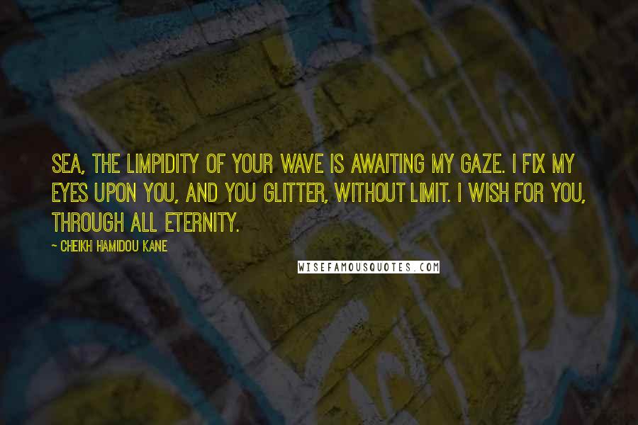 Cheikh Hamidou Kane quotes: Sea, the limpidity of your wave is awaiting my gaze. I fix my eyes upon you, and you glitter, without limit. I wish for you, through all eternity. Cheikh Hamidou Kane quotes: Sea, the limpidity of your wave is awaiting my gaze. I fix my eyes upon you, and you glitter, without limit. I wish for you, through all eternity.