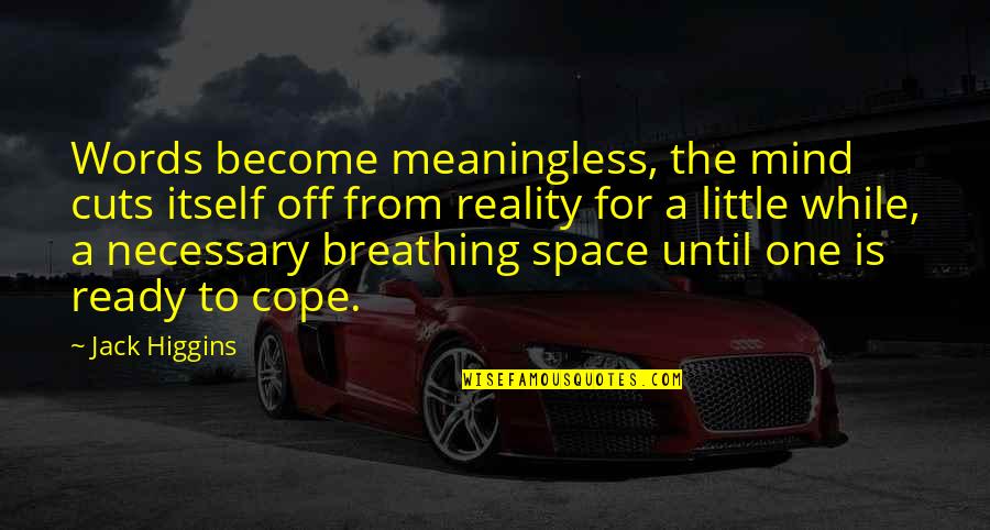 Chekas Cupcake Quotes By Jack Higgins: Words become meaningless, the mind cuts itself off