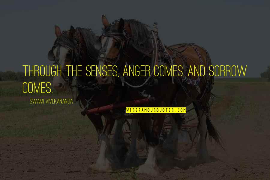 Chekhov Famous Quotes By Swami Vivekananda: Through the senses, anger comes, and sorrow comes. Chekhov Famous Quotes By Swami Vivekananda: Through the senses, anger comes, and sorrow comes.