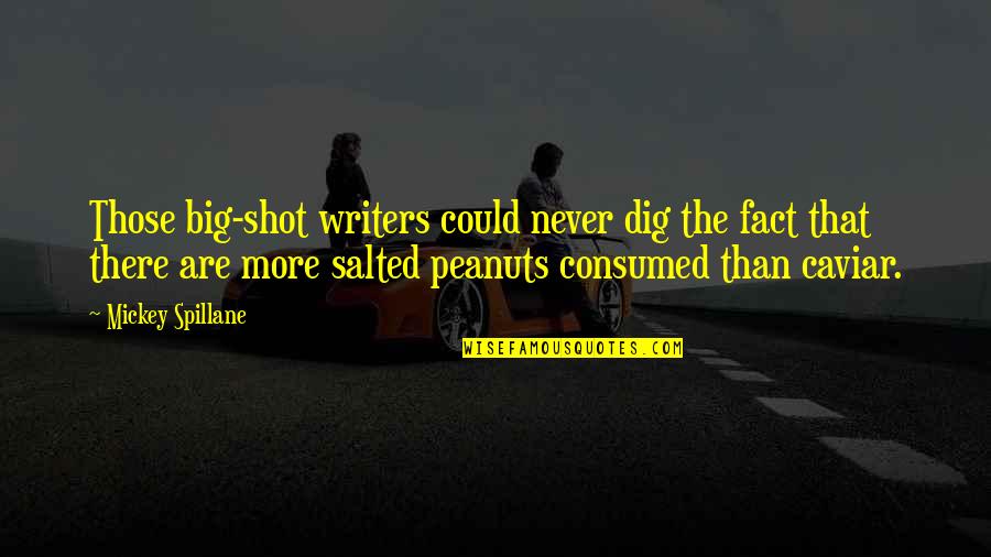 Chekroun Statistiques Quotes By Mickey Spillane: Those big-shot writers could never dig the fact