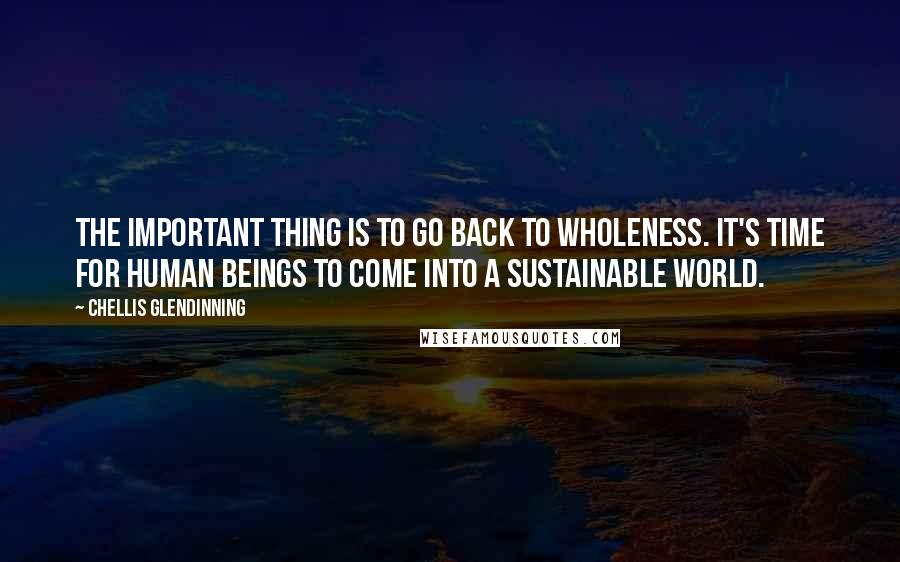 Chellis Glendinning quotes: The important thing is to go back to wholeness. It's time for human beings to come into a sustainable world.