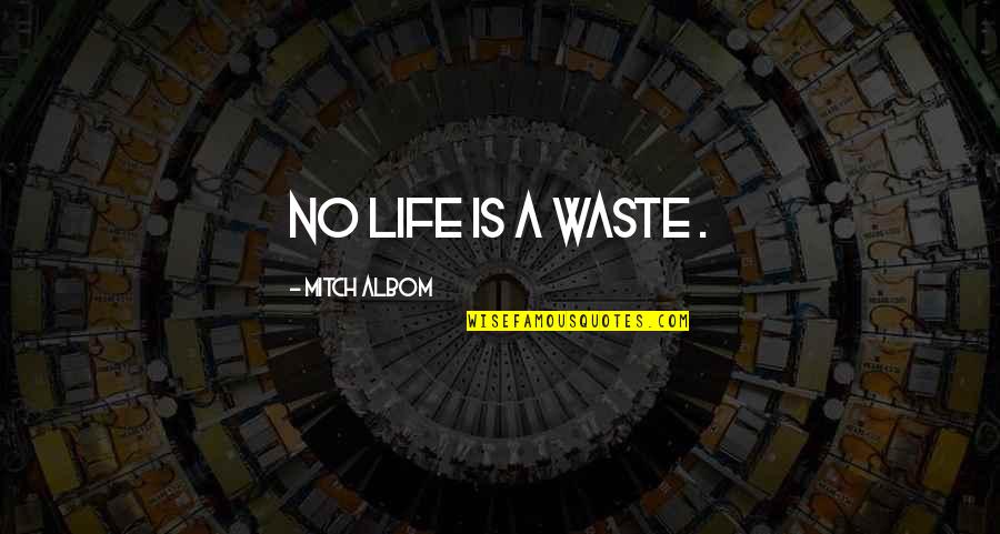Chellovecks Quotes By Mitch Albom: No life is a waste .