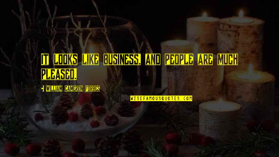 Chelse Quotes By William Cameron Forbes: It looks like business, and people are much