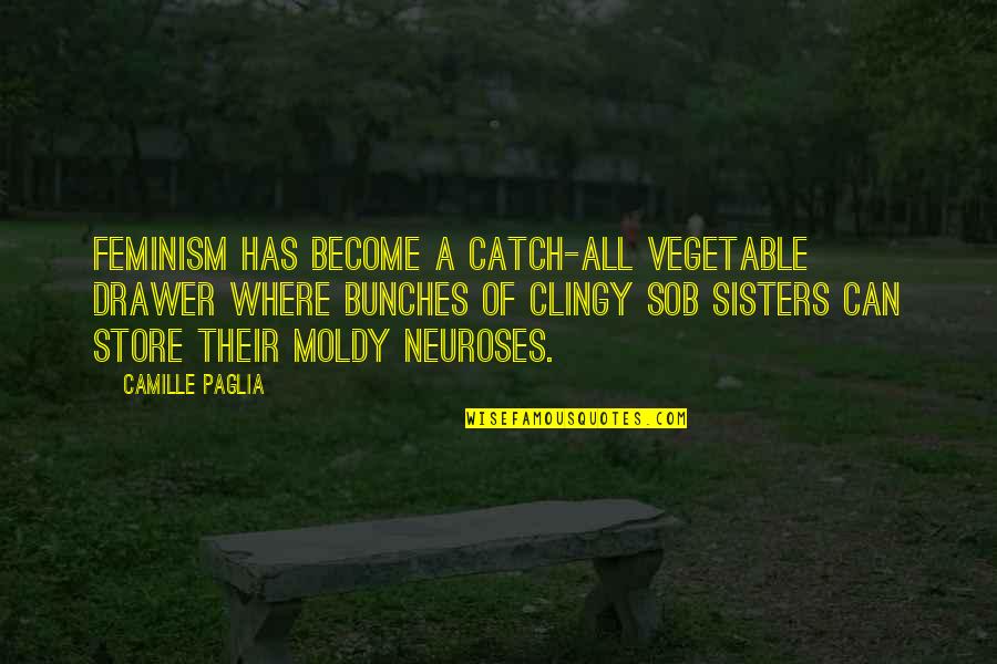 Chelta Trees Quotes By Camille Paglia: Feminism has become a catch-all vegetable drawer where