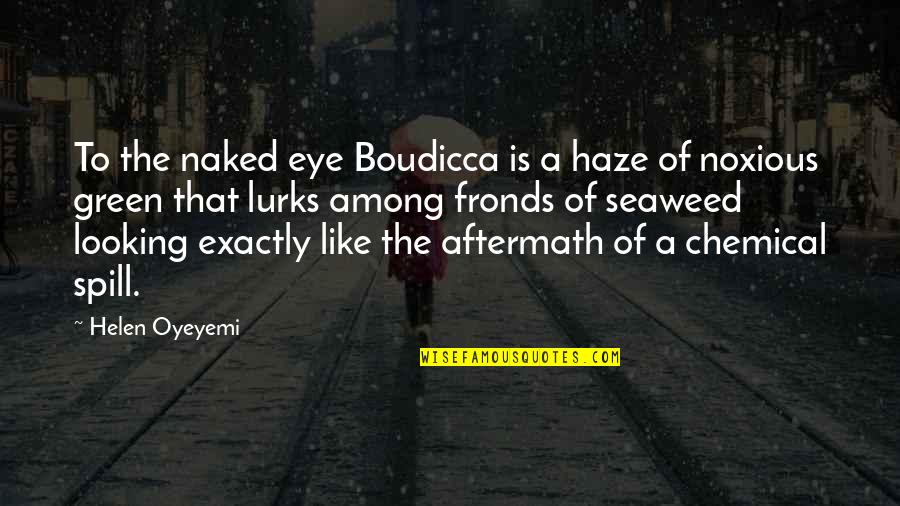 Chemical Spill Quotes By Helen Oyeyemi: To the naked eye Boudicca is a haze